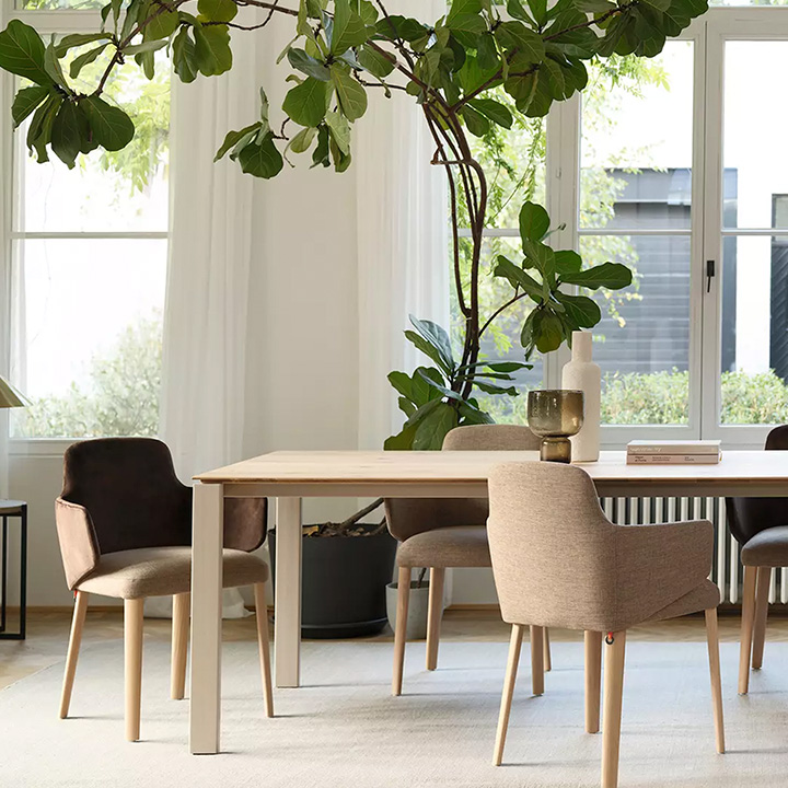 Eetkamerstoel Lei Met Arm thumbnail hover image