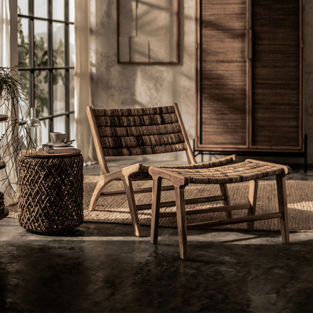 Stoel Beetle thumbnail hover image